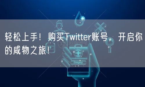 轻松上手！购买Twitter账号，开启你的咸物之旅！