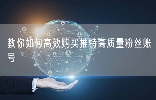 教你如何高效购买推特高质量粉丝账号