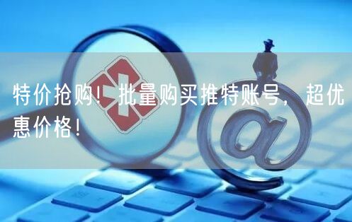 特价抢购!批量购买推特账号,超优惠价格!
