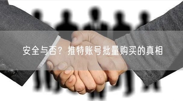 安全与否?推特账号批量购买的真相
