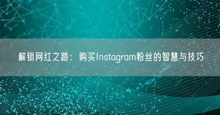 解锁网红之路：购买Instagram粉丝的智慧与技巧