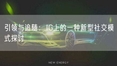 引领与追随：IG上的一种新型社交模式探讨