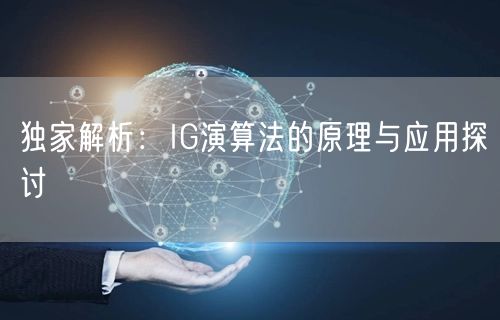 独家解析：IG演算法的原理与应用探讨