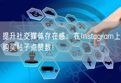 提升社交媒体存在感：在Instagram上购买帖子点赞数！