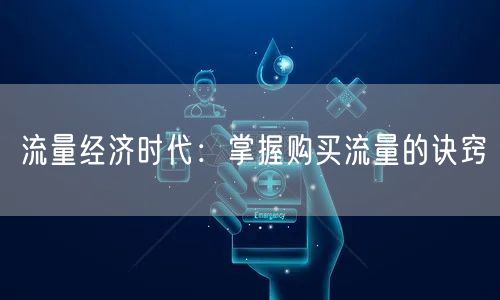 流量经济时代：掌握购买流量的诀窍