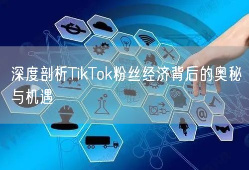 深度剖析TikTok粉丝经济背后的奥秘与机遇