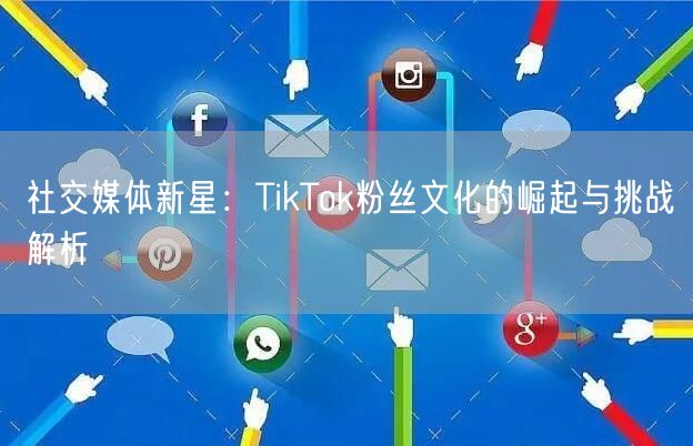 社交媒体新星：TikTok粉丝文化的崛起与挑战解析