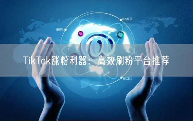 TikTok涨粉利器：高效刷粉平台推荐