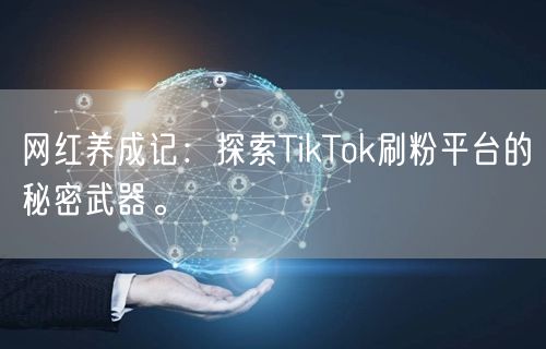 网红养成记：探索TikTok刷粉平台的秘密武器。