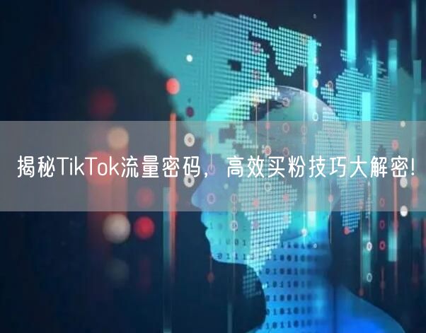 揭秘TikTok流量密码，高效买粉技巧大解密!