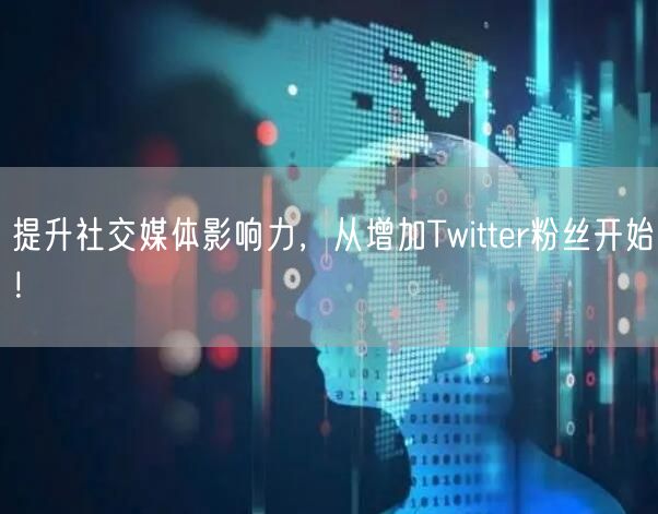 提升社交媒体影响力，从增加Twitter粉丝开始！