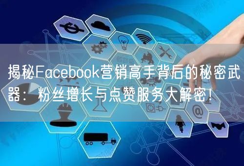 揭秘Facebook营销高手背后的秘密武器：粉丝增长与点赞服务大解密！
