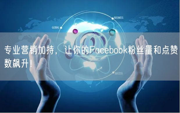 专业营销加持，让你的Facebook粉丝量和点赞数飙升！