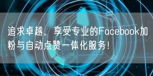 追求卓越，享受专业的Facebook加粉与自动点赞一体化服务！