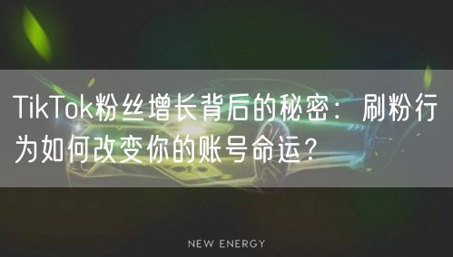 TikTok粉丝增长背后的秘密：刷粉行为如何改变你的账号命运？