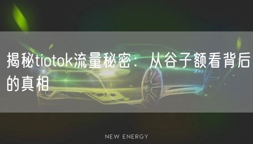 揭秘tiotok流量秘密：从谷子额看背后的真相