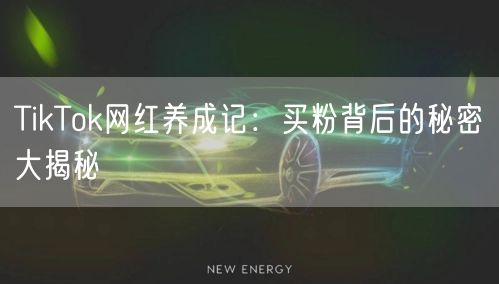 TikTok网红养成记：买粉背后的秘密大揭秘