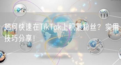 如何快速在TikTok上积累粉丝？实用技巧分享！