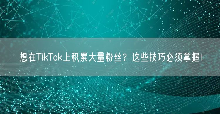 想在TikTok上积累大量粉丝？这些技巧必须掌握！