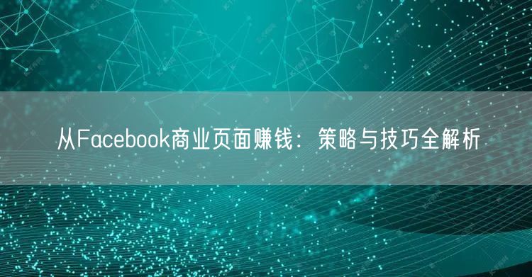 从Facebook商业页面赚钱：策略与技巧全解析