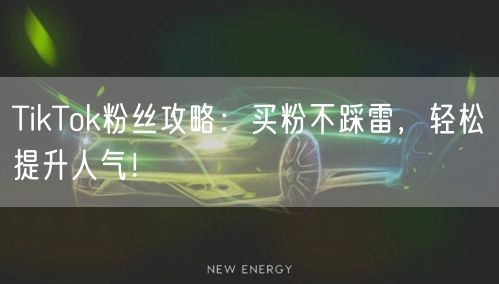 TikTok粉丝攻略：买粉不踩雷，轻松提升人气！