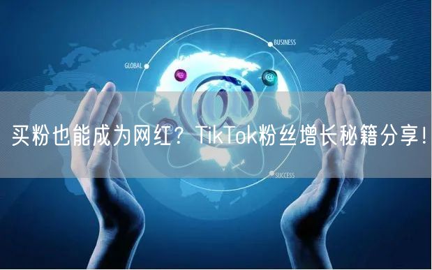 买粉也能成为网红？TikTok粉丝增长秘籍分享！
