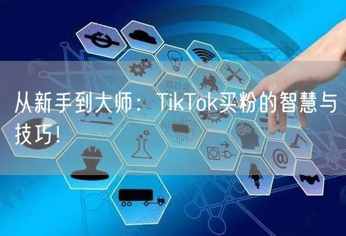 从新手到大师：TikTok买粉的智慧与技巧！