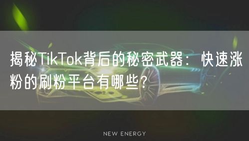 揭秘TikTok背后的秘密武器：快速涨粉的刷粉平台有哪些？