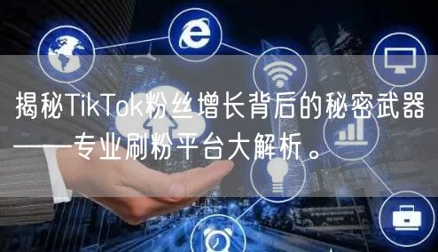 揭秘TikTok粉丝增长背后的秘密武器——专业刷粉平台大解析。
