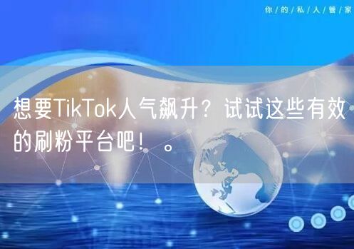 想要TikTok人气飙升？试试这些有效的刷粉平台吧！。