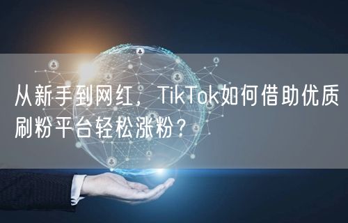 从新手到网红，TikTok如何借助优质刷粉平台轻松涨粉？