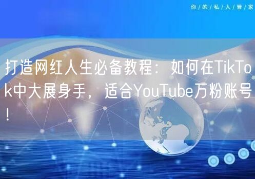 打造网红人生必备教程：如何在TikTok中大展身手，适合YouTube万粉账号！