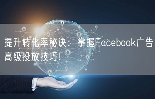 提升转化率秘诀：掌握Facebook广告高级投放技巧！