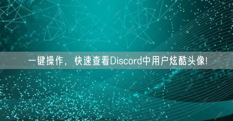 一键操作，快速查看Discord中用户炫酷头像!