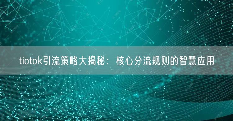 tiotok引流策略大揭秘：核心分流规则的智慧应用