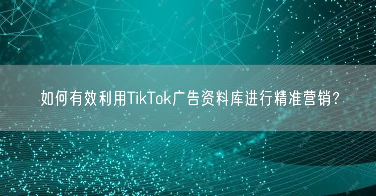 如何有效利用TikTok广告资料库进行精准营销？